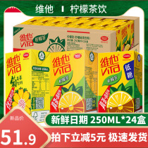 Vita lemon tea 250ml * 24 boxes of chrysanthemum tea low sugar lemon tea chilled summer lemon flavor tea drink