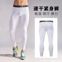 White leggings Mens trendy sports fitness pants Running basketball training leggings Elastic quick-drying air compression pants