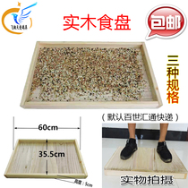 Pigeon supplies and equipment solid wood food tray trough racing pigeon solid wood food tray waterproof and moisture-proof pigeon ring pigeon