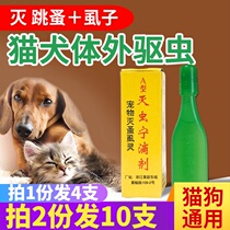 Insecticide drops Type A cat and dog deworming Insecticide Pest control agent Flea lice potion Teddy for cats and dogs for pets