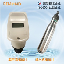 Input type liquid level meter Integrated ultrasonic water level sensor 485 4-20ma output