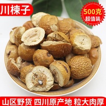 Wild Sichuan Chinaberry Chinese herbal medicine 500g grams New cargo bitter chinaberry Chinaberry tree Jin Suzuki Natural bulk Sichuan Chinaberry fruit