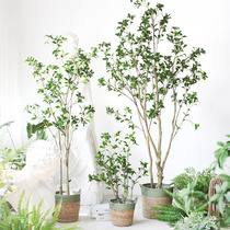 Sicilian simulation plant hanging bell horse drunk wood false tree potted Nordic INS home room floor decoration pendulum