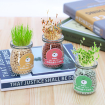 Full of negative ions hydroponic potted diy plants Creative office desktop micro landscape radiation-proof grass doll