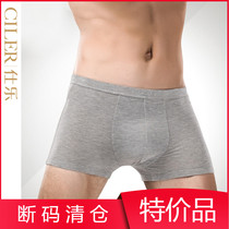 Shirler Modal mens underwear sexy boxer mesh small hollow boxers thin panties mens shorts TZ