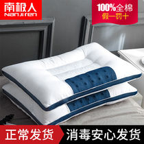South Pole Man All cotton magnetotherapy pillow Pillow Cassiae Buckwheat Leather Care Cervical Spine Pure Cotton Pillow Core Pair of clothes for adults Home