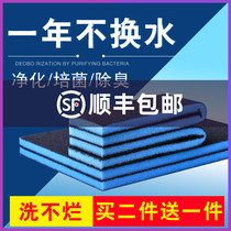 Fish tank filter cotton activated carbon biochemical cotton high-density purification filter sponge aquarium filter mesh cotton material