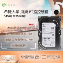 Seagate 6T