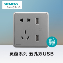 Siemens switch socket panel Lingyun Xinghui silver five-hole double USB socket