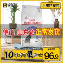 Royal SA37 neutered and protected as cat food 2kg 4 5kg Anglo-American short Puppet cat Weight control Nutrition Special