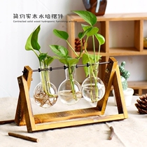 Hydroponic green table living room decoration solid wood frame glass flower decoration transparent glass bulb small vase flower insert