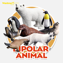 Play model Antarctic Arctic animal model Penguin sea lion elephant polar bear shark simulation animal toy set