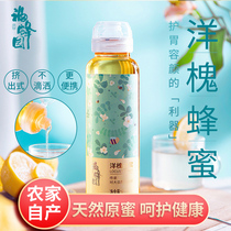420g Acacia honey pure natural mature soil honeycomb honey Farm-produced deep mountain portable extrusion bottled female