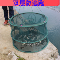 vaidu fishing eel cage automatic tool fishing fish net round cage Loach Loach folding cage shrimp fishing gear shrimp net cage