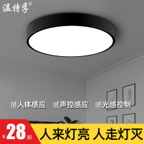 led induction ceiling light corridor staircase aisle home sound and light control light porch corridor radar human body induction light