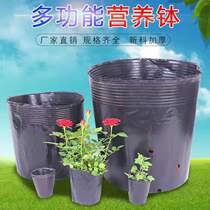 Flower pot Nutrition bowl Seedling bag Nutrition bag Nutrition cup Seedling pot Planting hole pot Seedling plate