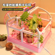 Children's Sunshine Room Planting Flower Room Growing Vegetable Observation Toys Girls Science Small Experimental Suite Manual Diy Materials