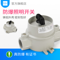 SW-10 explosion-proof lighting switch 220V10A aluminum alloy waterproof control button flameproof switch 380V