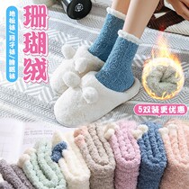 Coral velvet socks womens tube autumn and winter plus velvet thickened Winter Moon sleep towel home floor wool socks
