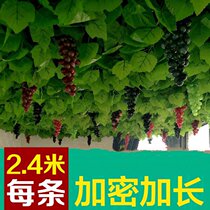 Decorating the room with small ornaments fake flowers green leaves elegant roof balcony indoor ceiling green vine wall hanging