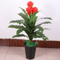 Hongyun Dangtou fake flower simulation silk flower Indoor floor decoration Bonsai plant living room anti-real plant Green plant dancing orchid