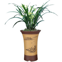 Orchid pot purple sand flowerpot high flowerpot orchid special pot breathable special flowerpot Yixing purple sand pot special offer