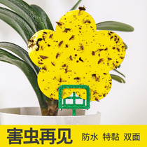 Yellow board double-sided sticky insect board household greenhouse Orchard special small black fly insect trap board blue board fruit fly trap