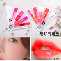 Affordable niche lip glaze lipstick student female lip gloss honey jelly multi-color moisturizing moisturizing glass lip film Li Jiaqi