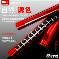 American no1 four-dimensional magic light color red dragon fish arahar parrot koi light diving light fish tank light LED