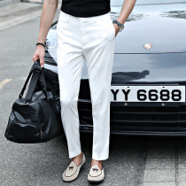 Spring and summer trousers Korean slim feet casual business white straight suit pants trousers slacks men