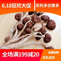 Tea tree mushroom dry goods 250g farm specialty special grade non-open umbrella mushroom soup ingredients bulk new goods 2 500g