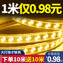 Light strip led three-color living room household color outdoor waterproof super bright soft long line light flexible line light 220V