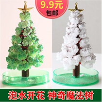 Watering Christmas Tree Magic Tree Magical Paper Tree Flowering Childrens Desktop Observation Experiment Toy Christmas Gift