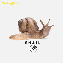 Wantmoin Playing Molluso Snail Animal Model Software Crawl Model Child Cognitive Toy Pendulum