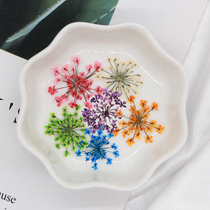 Orchid west room lace flower snow bead flower dried flower embossed specimen DIY EPOXY mobile phone shell Nail art face stickers real petals