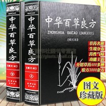 Chinese Baicao recipe illustration full set of 2 volumes of basic theory of Traditional Chinese Medicine prescriptions Field identification of Traditional Chinese medicine books Daquan prescription formula Prescription basic introduction to health Huangdi Neijing Old Traditional Chinese medicine soup head song tactics Hardcover version