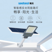  Solar lights outdoor street lights new rural projects led waterproof and lightning-proof garden lights street flood lights