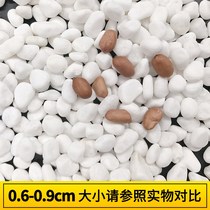 Small white stones large pebbles fleshy paving white stone flowerpot garden decoration goose warm stone potted goose soft stone