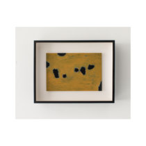 Yang Wen paper This comprehensive material is untitled (2018-2019)