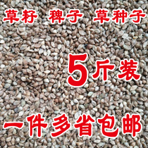 Bird food barnyard grass seed hibiscus bird parrot pearl bird Wen bird protein high five kg