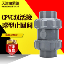 CPVC check valve PPH check valve UPVC double by make PVC-C double live chloride PVC PPR one-way