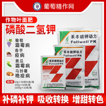 Phosphorus Potassium Power Month Season Flower Phosphate Monopotassium Phosphate Leaf Surface Fattening Grape Strawberry Peanut Flushing Water Soluble Fertilizer