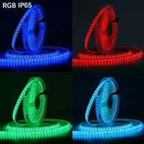 12V Volt 5050 Single Row 120 Beads Highlight LED Light Strip SMD Soft Light Strip High Density RGB Colorful Color Changing Light Strip