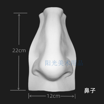 Real Face Five Official Nose Plaster Statue Model Ear eyes Mouth Pendulum Piece Pendant Art Examination Fine Art Sketching