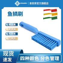 Food safety Bank fish scale brush food grade brush to scale scale scaler brush fish scale bristles durable