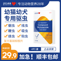 (for young children) puppies cats dogs pets puppies cats dogs pets