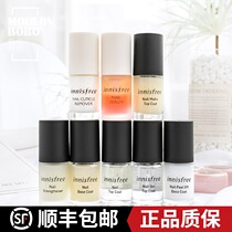 South Korea innisfree Yueshii Fengyin nail polish Polish base oil hard nail oil assistant
