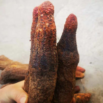 Fresh whole root lock yang Inner Mongolia Allaghan extra-large grade 500g nourishing pot soup stock for men with lock yang