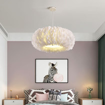 Bedroom lamp modern simple master bedroom lamp Nordic ins warm romantic children princess room Net Red Feather chandelier