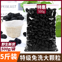 Black mulberry dried pure dried mulberry premium 2 kg No-wash fruit Fresh wild mulberry dried tea soaked in water to drink Xinjiang 1